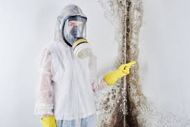 Best Mold Odor Removal Services in Walford, IA